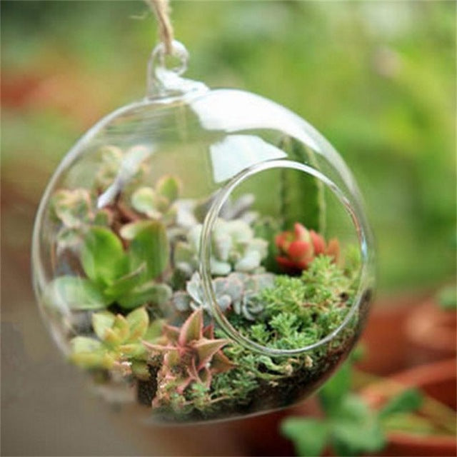 Terrarium Ball Globe Shape Clear Hanging Glass Vase Flower Plants Container Ornament Micro Landscape DIY Wedding Home Decor