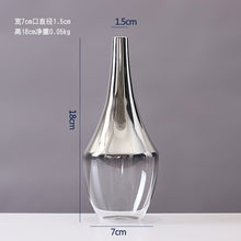 Load image into Gallery viewer, Nordic Glass Vase Creative Silver Gradient Dried Flower Vase Desktop Ornaments Home Decoration Fun Gifts Plants Pots Furnishing