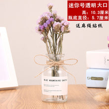 Load image into Gallery viewer, Nordic 20 Kinds  INS Wind Glass Reagent Vase Hydroponic Dried Flower Small Vase Living Room Decoration with rope and sticker