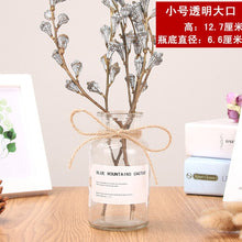 Load image into Gallery viewer, Nordic 20 Kinds  INS Wind Glass Reagent Vase Hydroponic Dried Flower Small Vase Living Room Decoration with rope and sticker