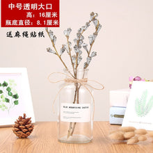 Load image into Gallery viewer, Nordic 20 Kinds  INS Wind Glass Reagent Vase Hydroponic Dried Flower Small Vase Living Room Decoration with rope and sticker