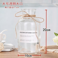 Load image into Gallery viewer, Nordic 20 Kinds  INS Wind Glass Reagent Vase Hydroponic Dried Flower Small Vase Living Room Decoration with rope and sticker