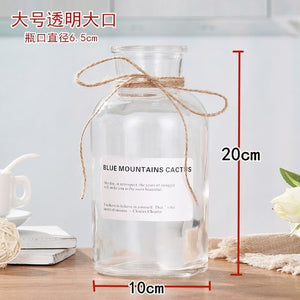 Nordic 20 Kinds  INS Wind Glass Reagent Vase Hydroponic Dried Flower Small Vase Living Room Decoration with rope and sticker