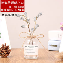 Load image into Gallery viewer, Nordic 20 Kinds  INS Wind Glass Reagent Vase Hydroponic Dried Flower Small Vase Living Room Decoration with rope and sticker