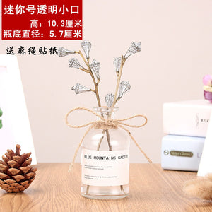 Nordic 20 Kinds  INS Wind Glass Reagent Vase Hydroponic Dried Flower Small Vase Living Room Decoration with rope and sticker