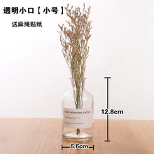 Load image into Gallery viewer, Nordic 20 Kinds  INS Wind Glass Reagent Vase Hydroponic Dried Flower Small Vase Living Room Decoration with rope and sticker