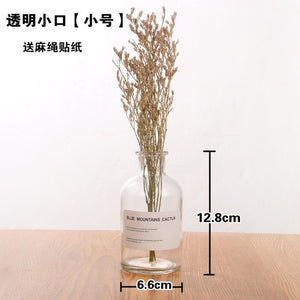 Nordic 20 Kinds  INS Wind Glass Reagent Vase Hydroponic Dried Flower Small Vase Living Room Decoration with rope and sticker