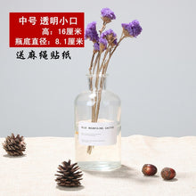 Load image into Gallery viewer, Nordic 20 Kinds  INS Wind Glass Reagent Vase Hydroponic Dried Flower Small Vase Living Room Decoration with rope and sticker