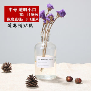 Nordic 20 Kinds  INS Wind Glass Reagent Vase Hydroponic Dried Flower Small Vase Living Room Decoration with rope and sticker