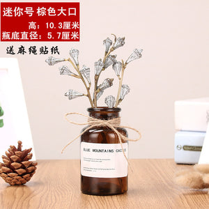 Nordic 20 Kinds  INS Wind Glass Reagent Vase Hydroponic Dried Flower Small Vase Living Room Decoration with rope and sticker