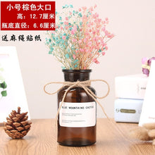 Load image into Gallery viewer, Nordic 20 Kinds  INS Wind Glass Reagent Vase Hydroponic Dried Flower Small Vase Living Room Decoration with rope and sticker