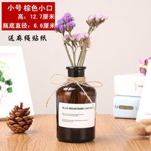 Load image into Gallery viewer, Nordic 20 Kinds  INS Wind Glass Reagent Vase Hydroponic Dried Flower Small Vase Living Room Decoration with rope and sticker