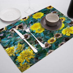 SEAAN Oil Painting Drink Coasters Reusable Dining Table Mat Placemats for Kitchen Table Polyester or Cotton and Line Decor