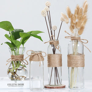 Nordic Glass Vases Living Room Table Decoration Transparent Water Hydroponics Flower Rope Dry Flower Vase DIY Valentine's Day