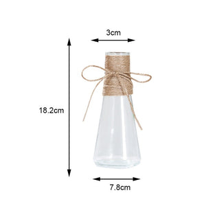 Nordic Glass Vases Living Room Table Decoration Transparent Water Hydroponics Flower Rope Dry Flower Vase DIY Valentine's Day