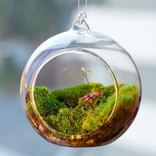 Load image into Gallery viewer, Terrarium Ball Globe Shape Clear Hanging Glass Vase Flower Plants Container Ornament Micro Landscape DIY Wedding Home Decor